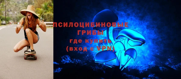 стафф Гусь-Хрустальный