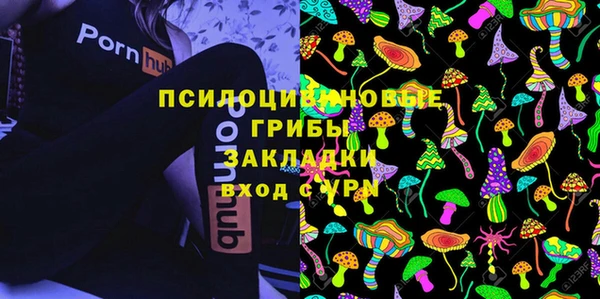 стафф Гусь-Хрустальный