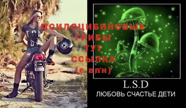 стафф Гусь-Хрустальный