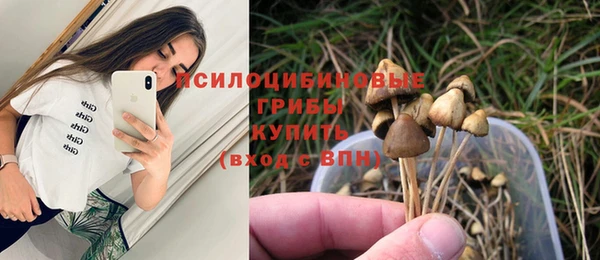 а пвп мука Гусев