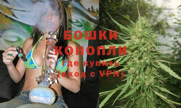 ешки Горняк