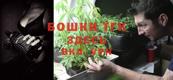 тгк Горнозаводск