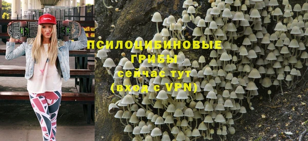 стафф Гусь-Хрустальный